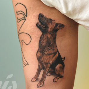 Meet your Posher, Lucas